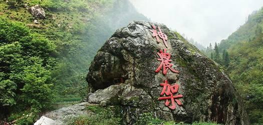 探索陈冠希秦舒培美国看球秀恩爱,他们是怎么走到一起的?世界,美好发现尽在红迪网